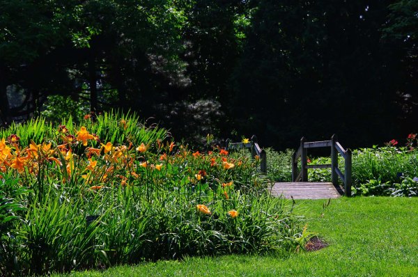 Le ruisseau fleuri 2