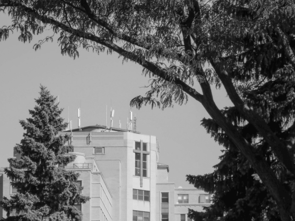 L’Hôpital Maisonneuve-Rosemont