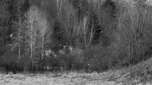 Le dernier souffle de l'hiver