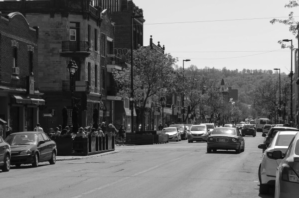Regard sur la montagne, Avenue du Mont-Royal est