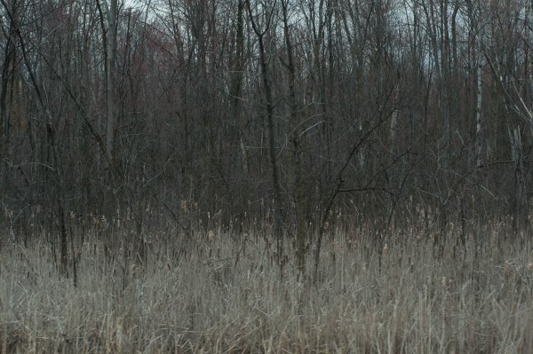 L'originale, telle que saisie selon les paramètres fixées par les ingénieurs qui ont conçu ma caméra.