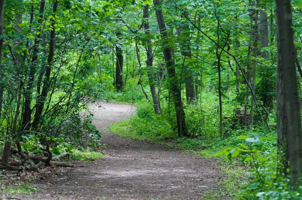 Royal Botanical Gardens - Hamilton, Ontario, 22 juin 2015
