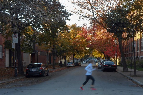 Courir dans Maisonneuve