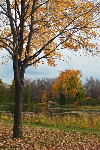 L'automne au Jardin botanique 21