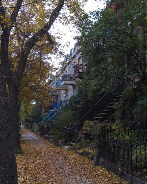 L'automne à Montréal