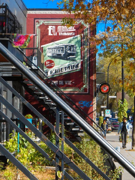 Sur le Boulevard Rosemont, dans la Petite Patrie