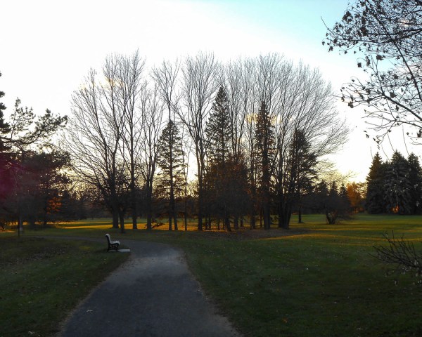Branches dépareillées