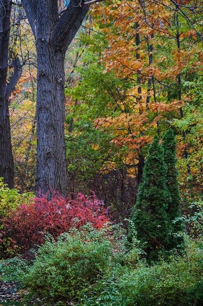 Début novembre 2015 2