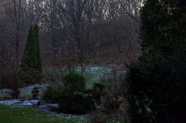 Fin-novembre 2015 Première neige