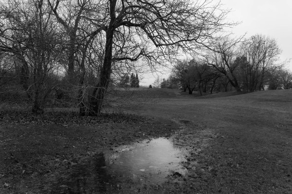 grisaille de décembre