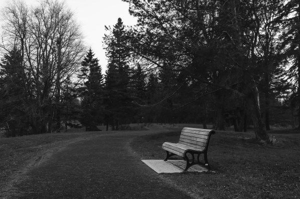 Pause de contemplation