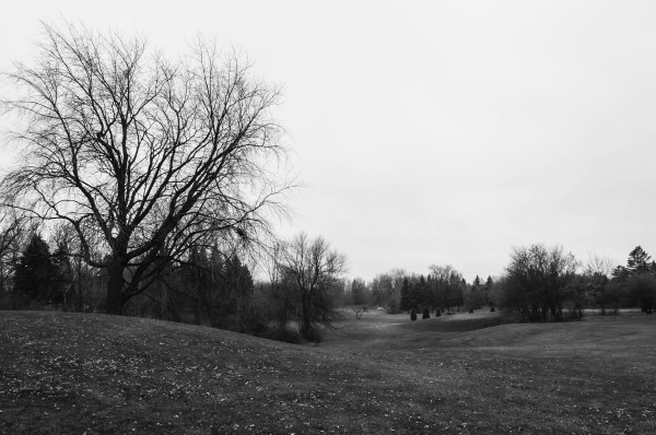 Le paysage domestiqué du Parc Maisonneuve dans l'est de Montréal