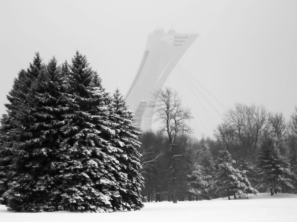 Montréal l'hiver en nb