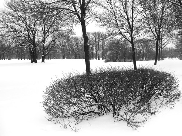 Parc Maisonneuve - Dernier jour de l'année en nb