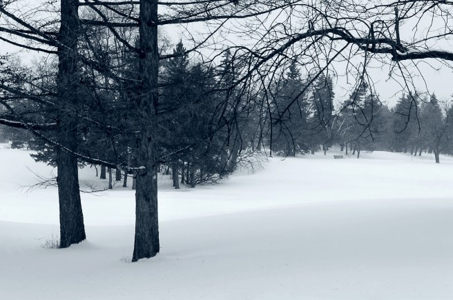 Mars - Parc Maisonneuve