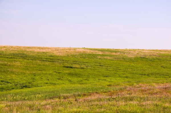 Kansas - traces des pistes