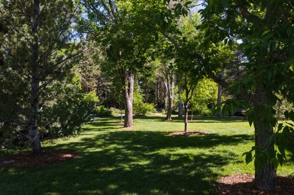 Jardin botanique de Cheyenne - Clairière