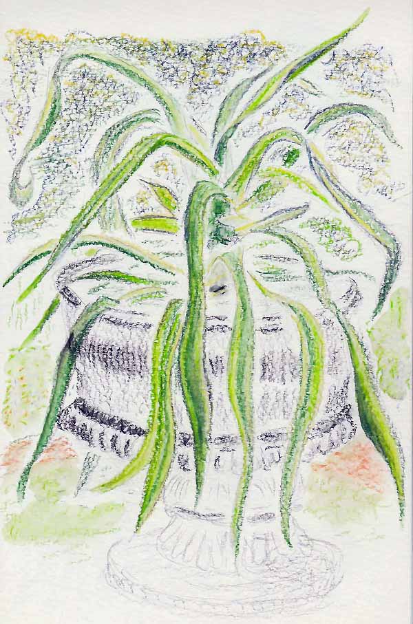 omaha-jardin-lauritzen-juillet-2016