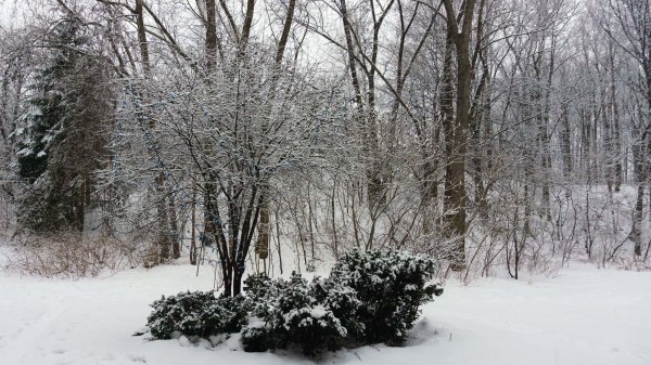 veille-de-noel-dans-ma-cour-ecran