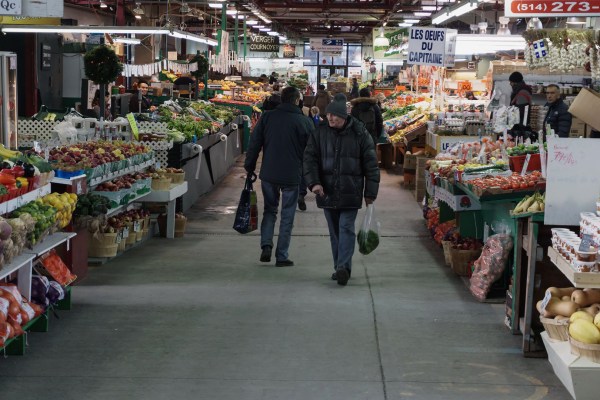 marche-jean-talon-allee-centrale-interieur-lhiver