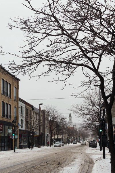une-tempete-dhiver-sur-ave-mont-royal