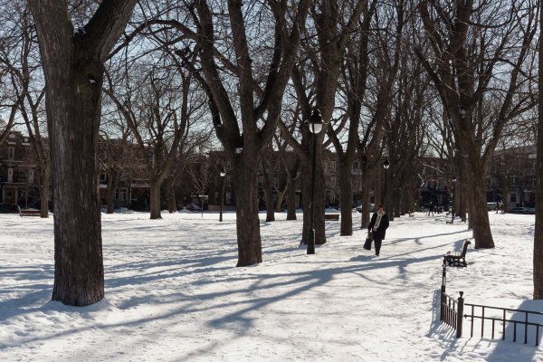 en-traversant-le-parc-laurier